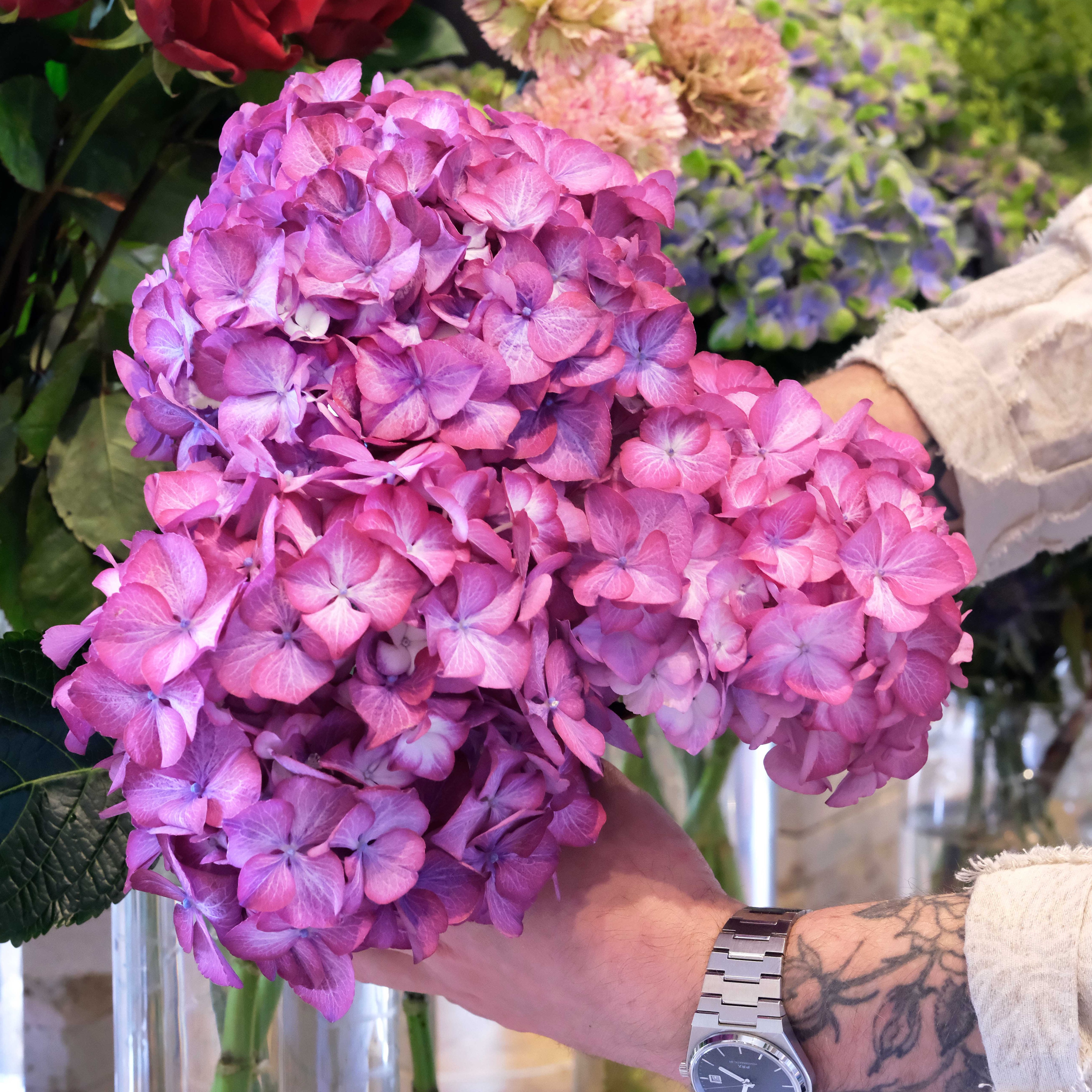 Bouquet de roses